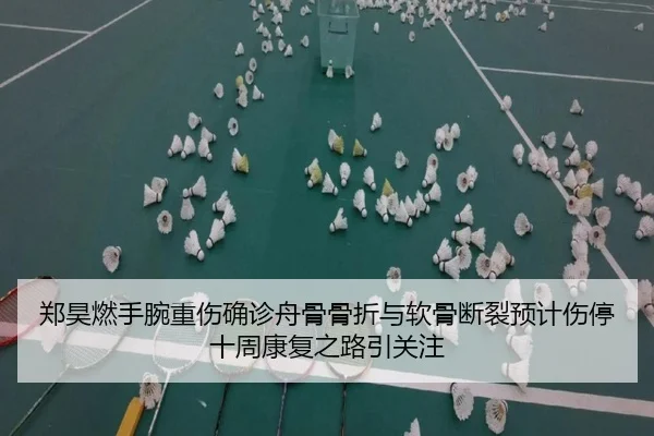 郑昊燃手腕重伤确诊舟骨骨折与软骨断裂预计伤停十周康复之路引关注